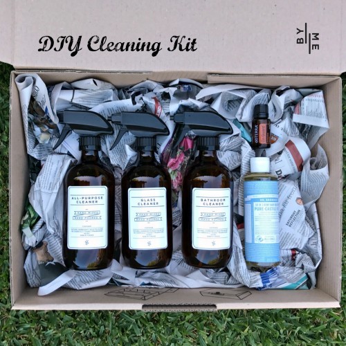 DIY cleaning Kit