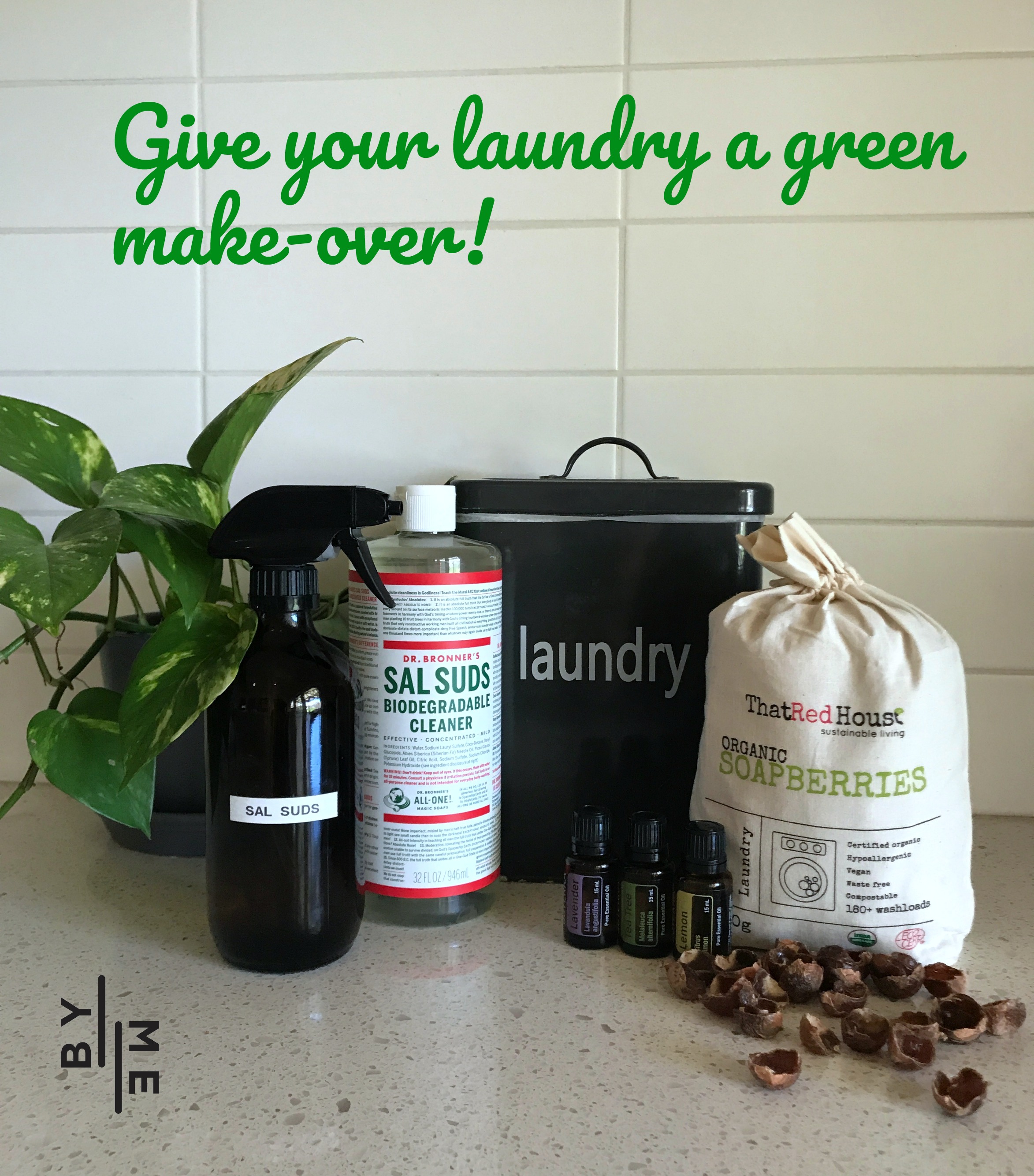 Green Laundry